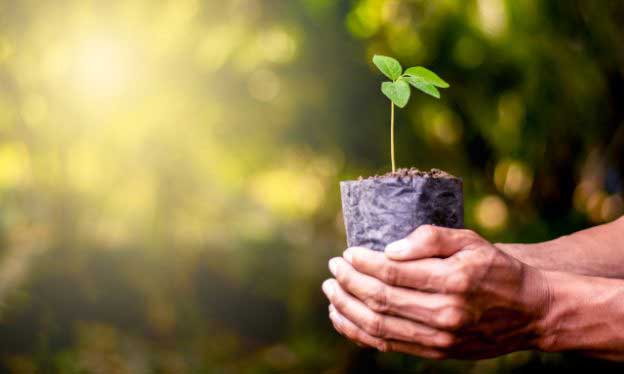 compromiso medioambiental
