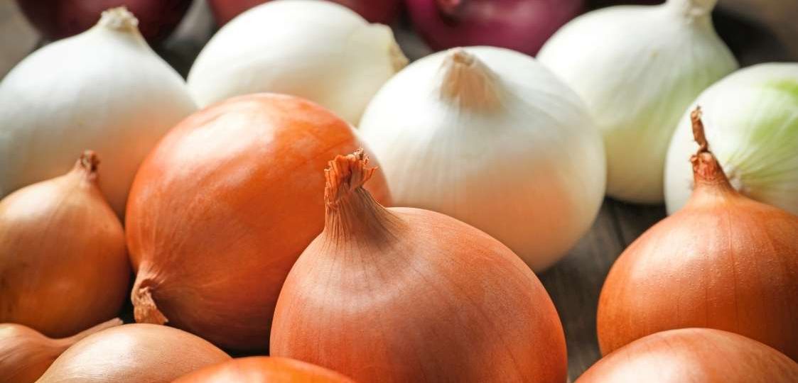 descubre las propiedades de la cebolla